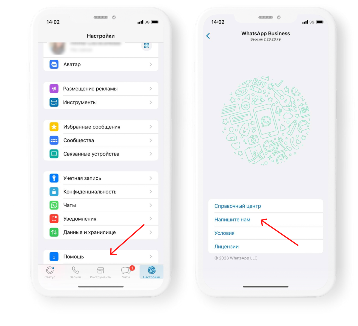 WhatsApp или WhatsApp Business API