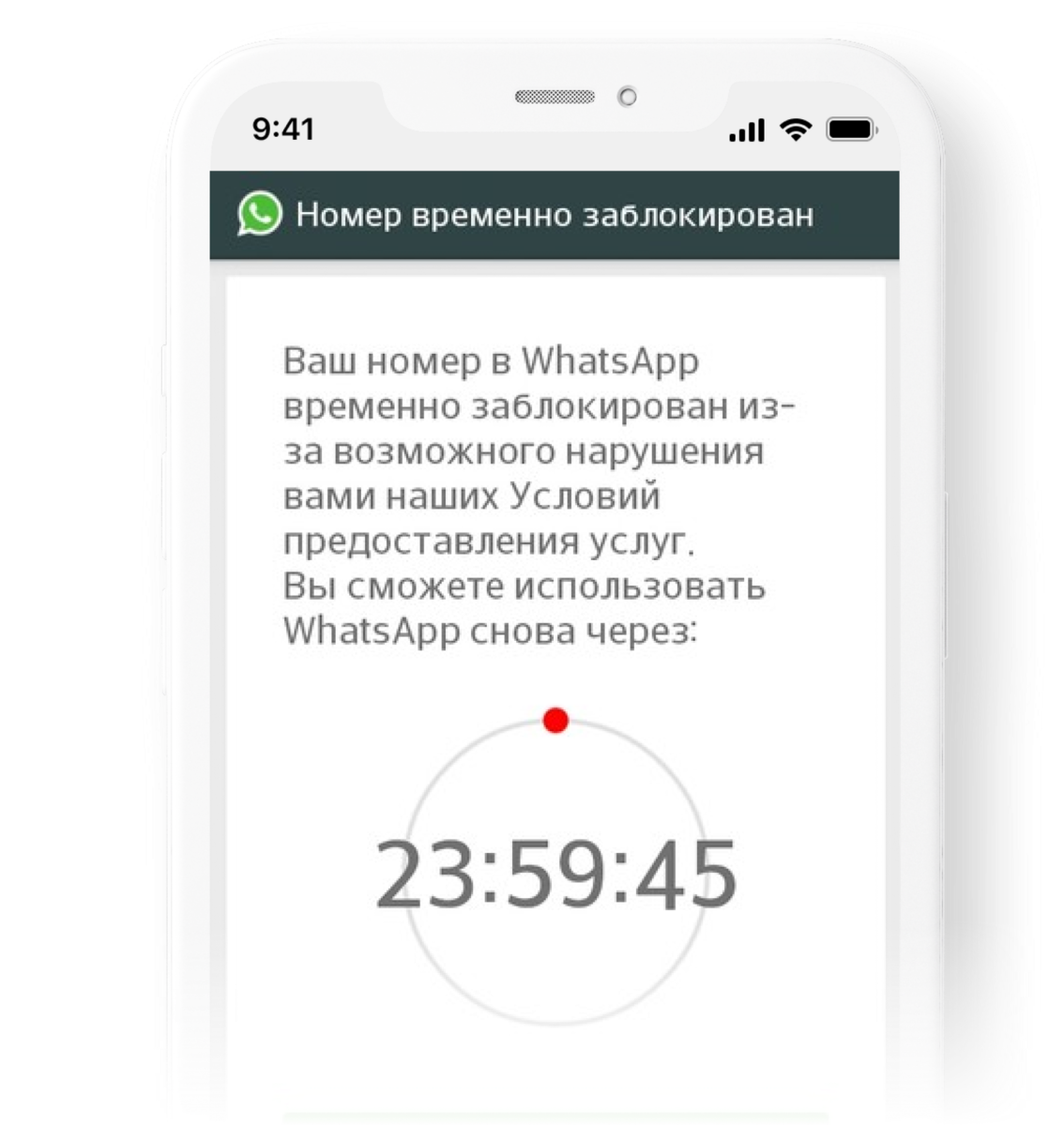 Что выбрать: WhatsApp или WhatsApp Business API