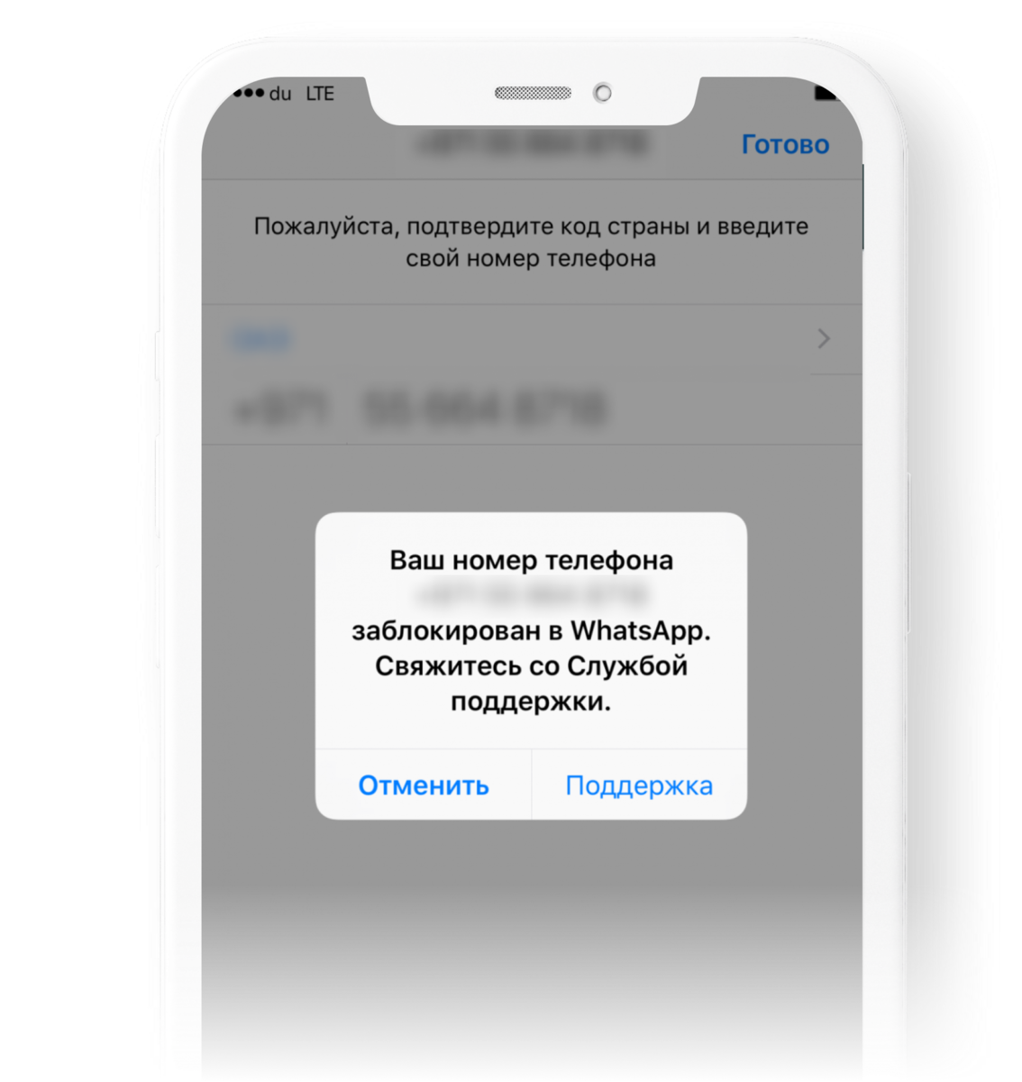 Что выбрать: WhatsApp или WhatsApp Business API