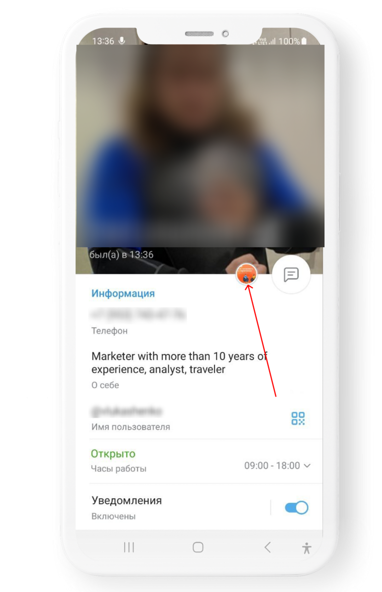 WhatsApp или WhatsApp Business API