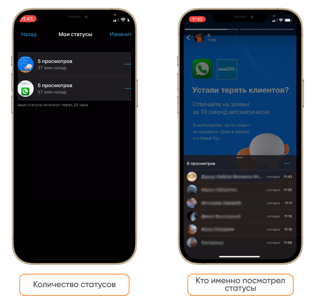 Рассылка в WhatsApp через amoCRM