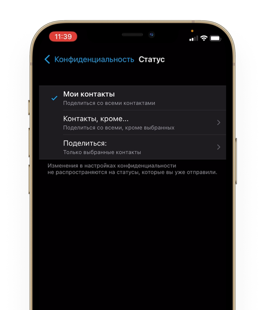 Рассылка в WhatsApp через amoCRM