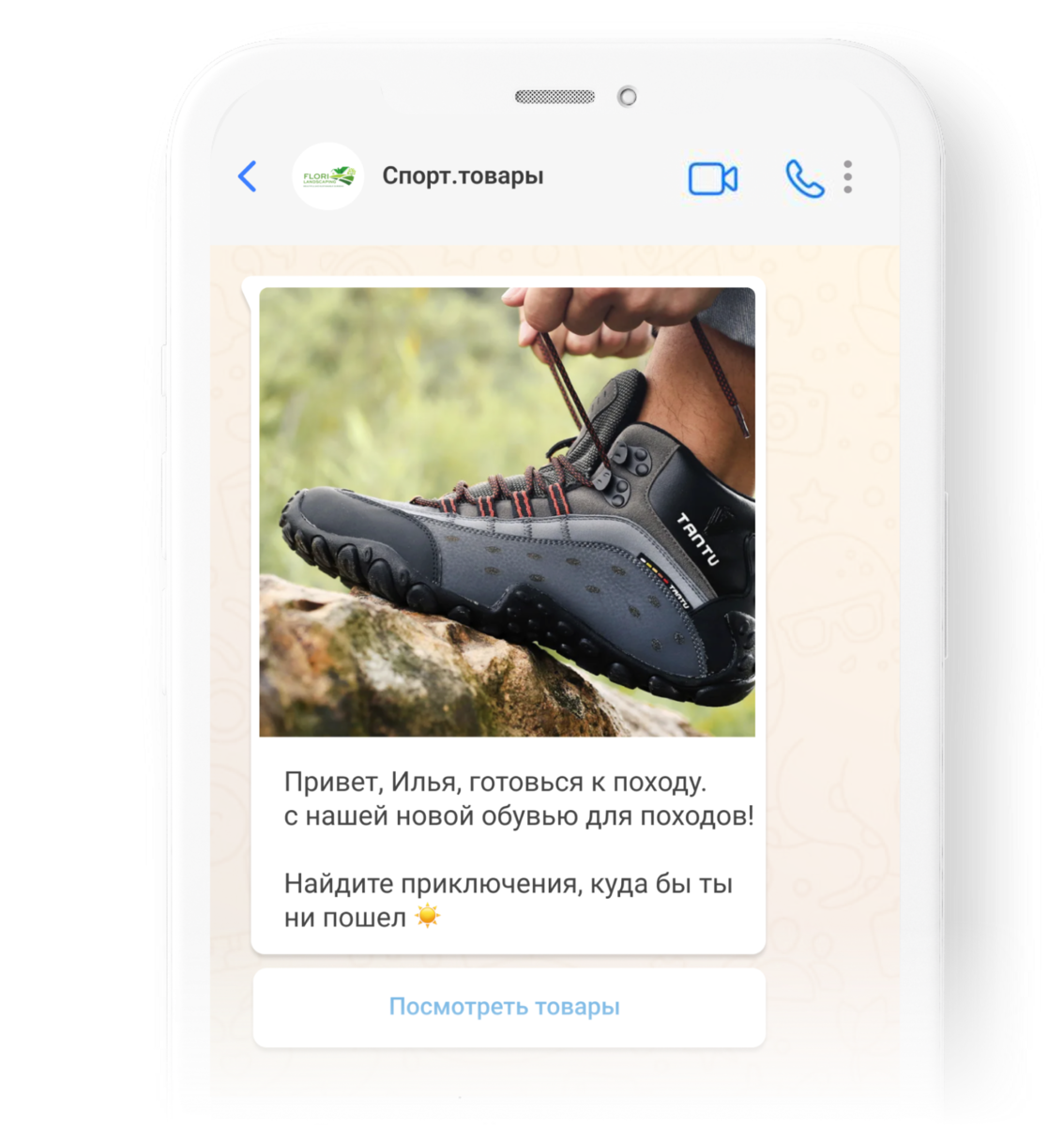 WhatsApp или WhatsApp Business API
